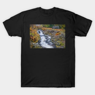 Lake district waterfall near Derwentwater T-Shirt